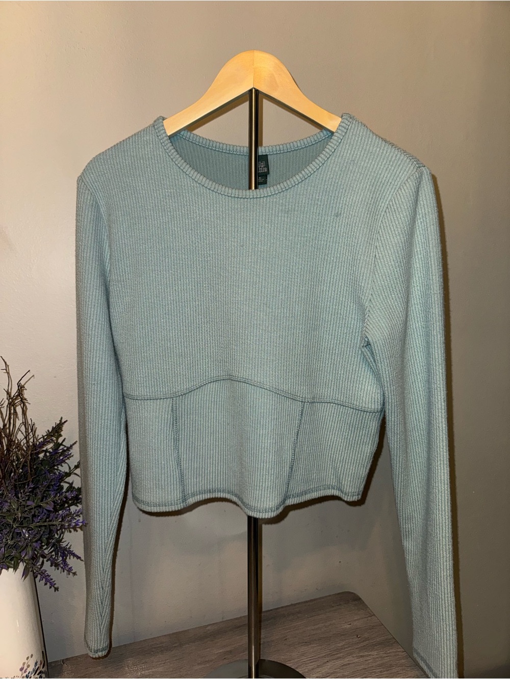wild fable Light Blue Ribbed Long Sleeve Crop Top